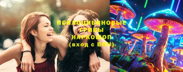 ПСИЛОЦИБИНОВЫЕ ГРИБЫ Абинск