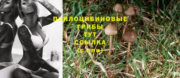 стафф Нягань